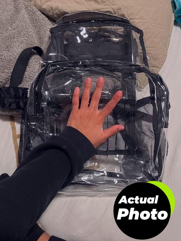 amazon-basics-transparent-backpack-pic-1