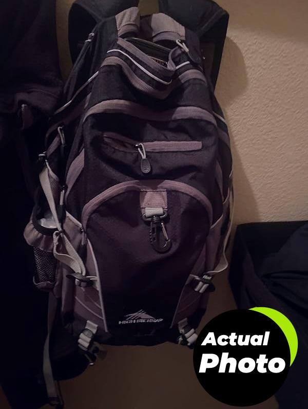high-sierra-loop-backpack-aquamarine-pic-3