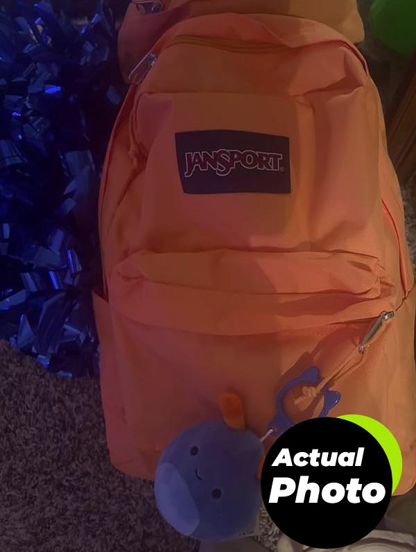 jansport-backpack-apricot-crush-pic-1