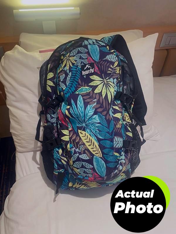 venture-pal-backpack-lightweight-40l-pic-3